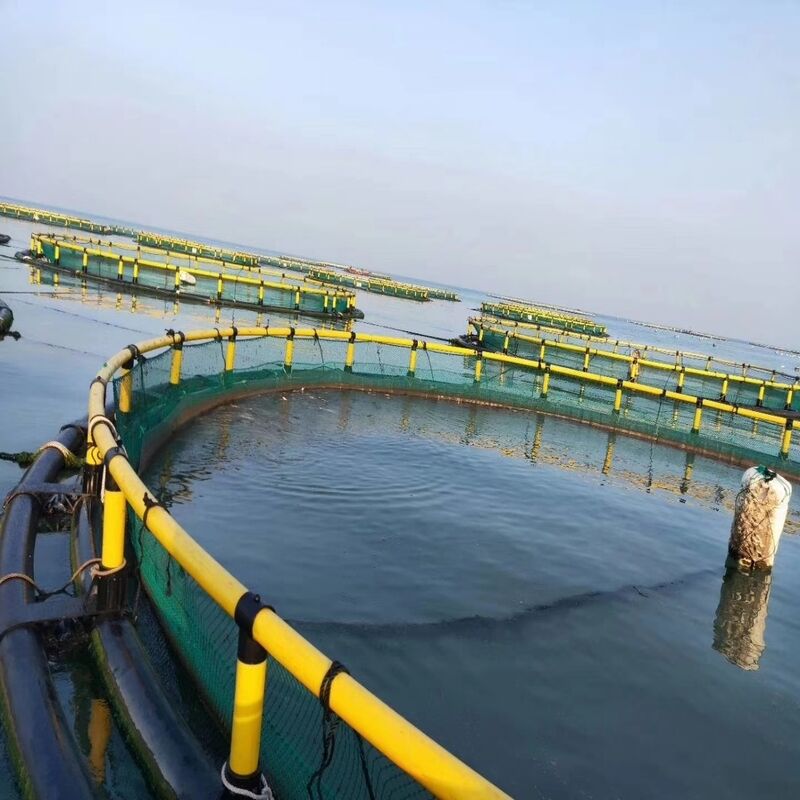 Big Diameter Circular Floating Cage Deep Water Fish Culture Equipment