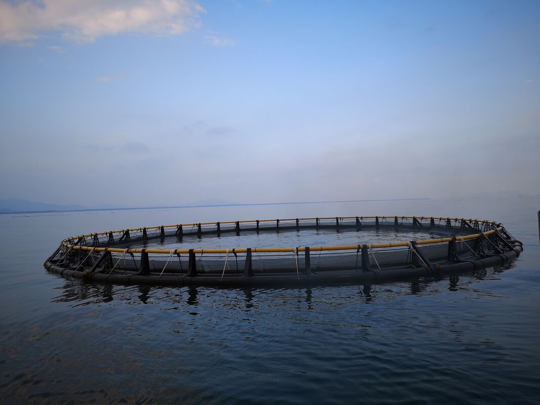 Large Size Circular Fish Cage Complete Set with Full Accessories
