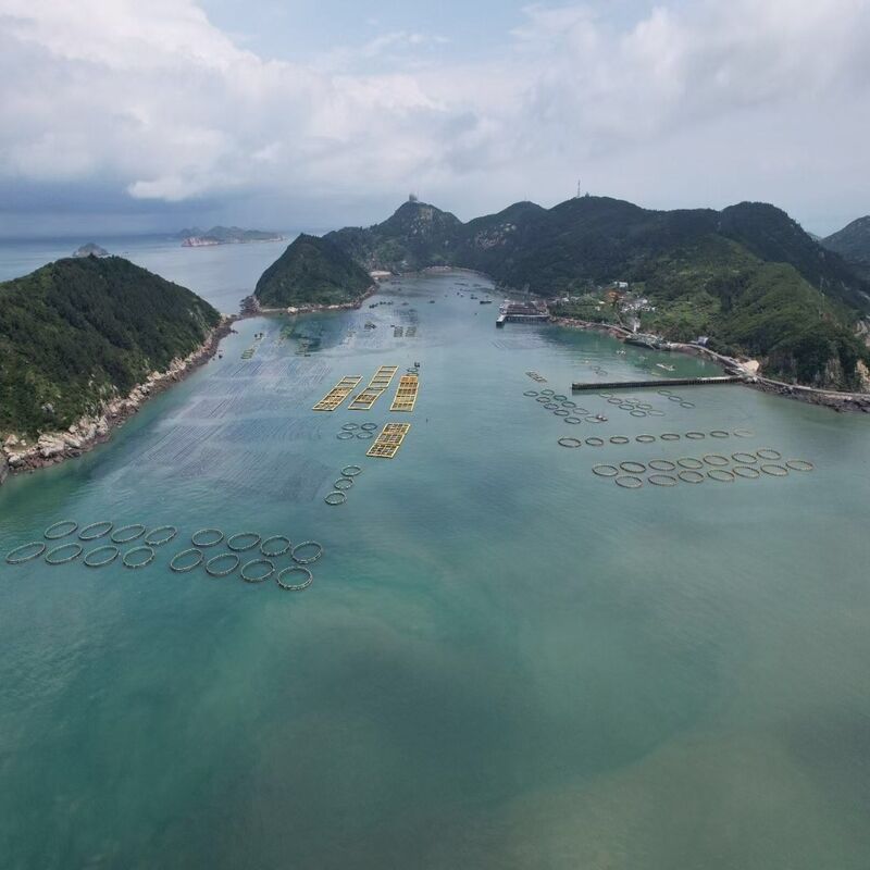 Cost-effective Simple Circular Leisure Cage for Small Fish Farm
