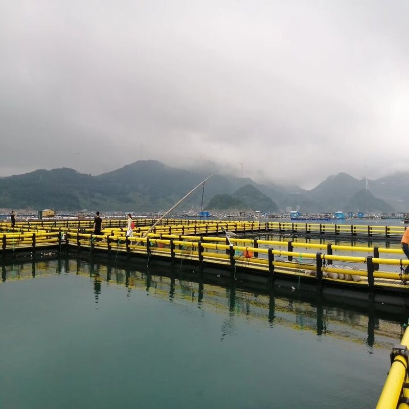 Cost-effective Simple Circular Leisure Cage for Small Fish Farm