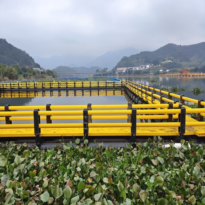 Floating Leisure Platform for Fishery Resort Combined Cage Culture & Water Sightseeing