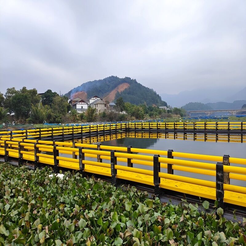 Floating Leisure Platform for Fishery Resort Combined Cage Culture & Water Sightseeing