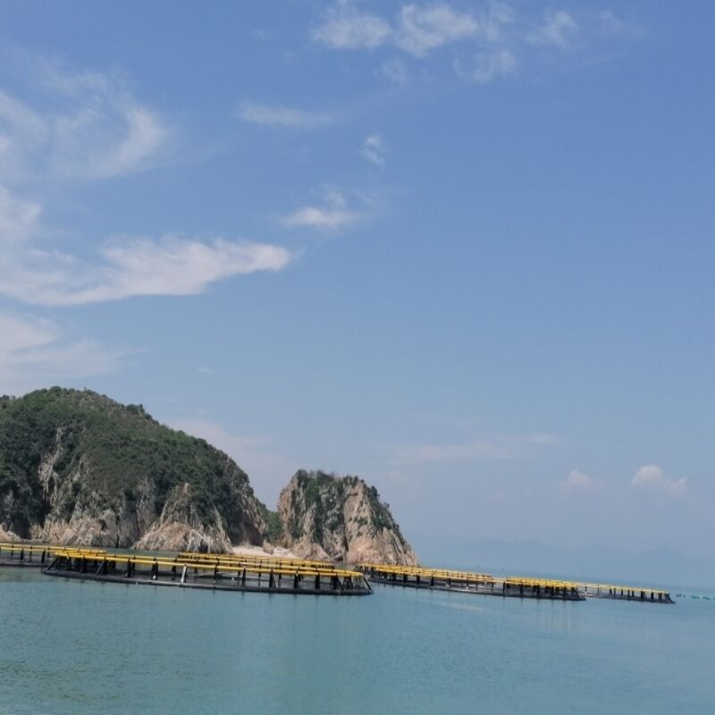 HDPE Floating Round Fish Cage for Tilapia Fish Farming