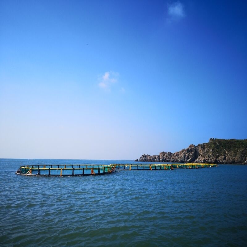 Round Anti-wave Floating Net Cage for Large Scale Offshore Aquaculture