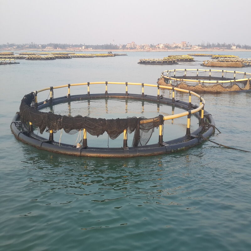 Durable Round Fish Cage Anti-aging for Offshore & Open Water Culture