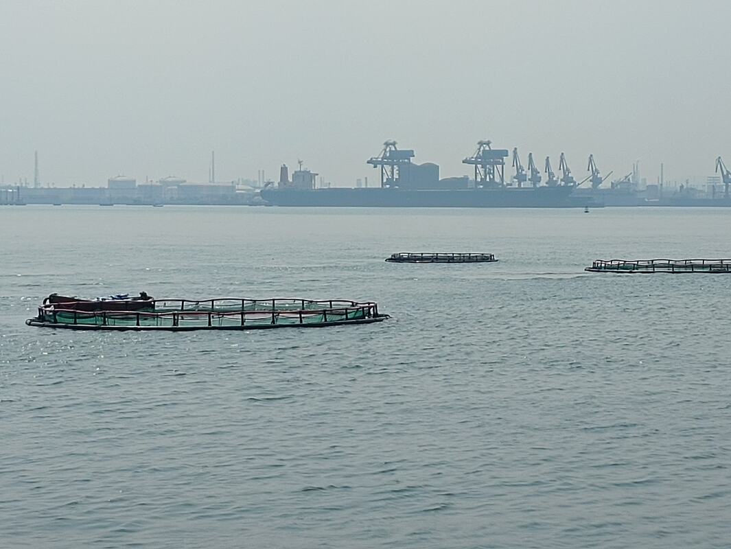 Small Fish Cage, Diameter 10 m Current Price
