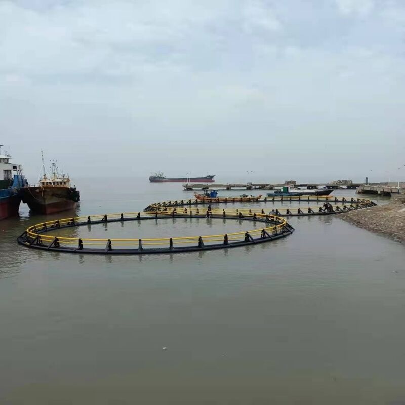 Large Round HDPE Fish Cage Anti-Typhoon Deep Sea Breeding Cage
