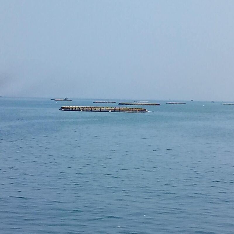 Durable Round Floating HDPE Fish Cage For Tilapia & Shrimp Culture