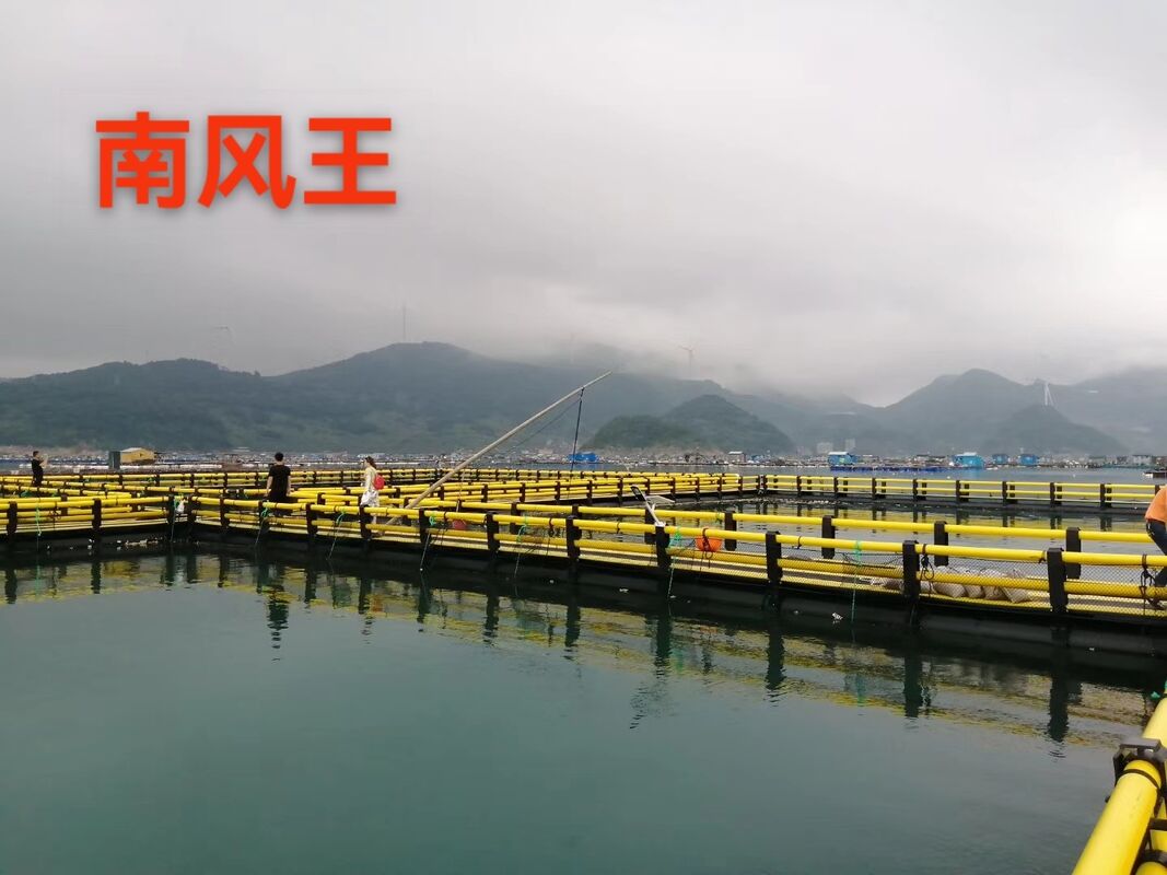 China Fish Cage Manufacturer & Supplier for Lake Victoria Region