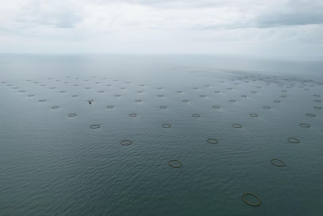 Professional HDPE fish cage manufacturer and supplier from China. We provide durable PE100 aquaculture cages customized for offshore waters. Competitive price & full installation support.