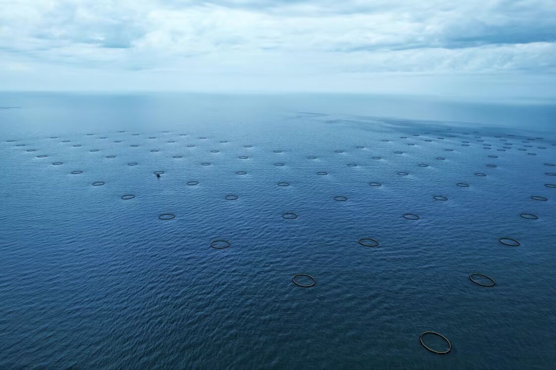 Professional HDPE fish cage manufacturer and supplier from China. We provide durable PE100 aquaculture cages customized for offshore waters. Competitive price & full installation support.