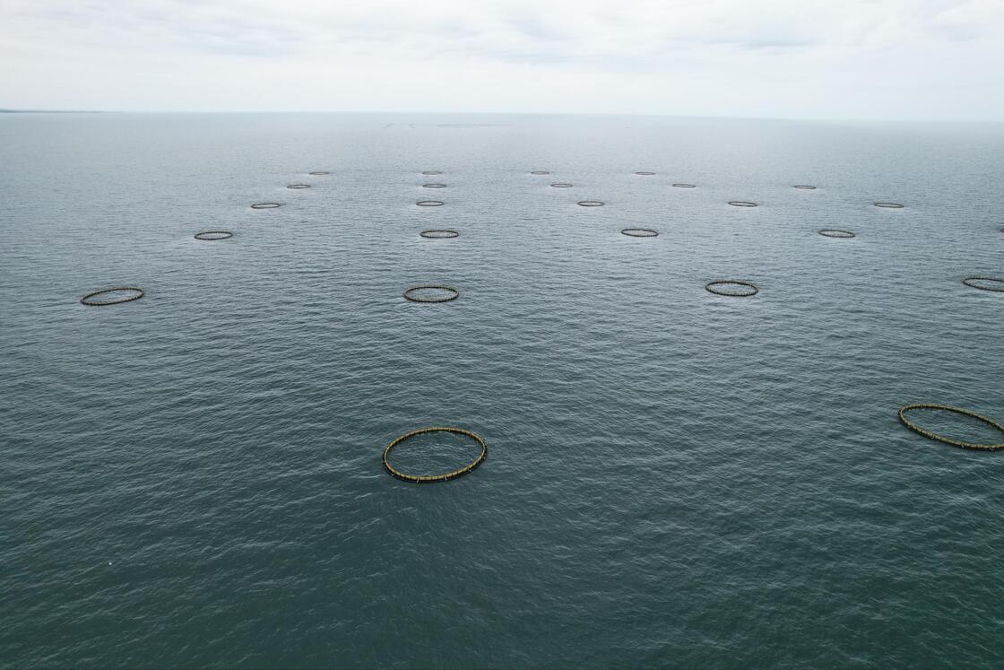 Professional HDPE fish cage manufacturer and supplier from China. We provide durable PE100 aquaculture cages customized for offshore waters. Competitive price & full installation support.