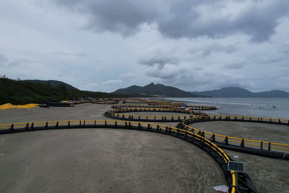 Customizable Size HDPE100 Fish Cage with Anti-Wave Resistance for Aquaculture Farms Worldwide