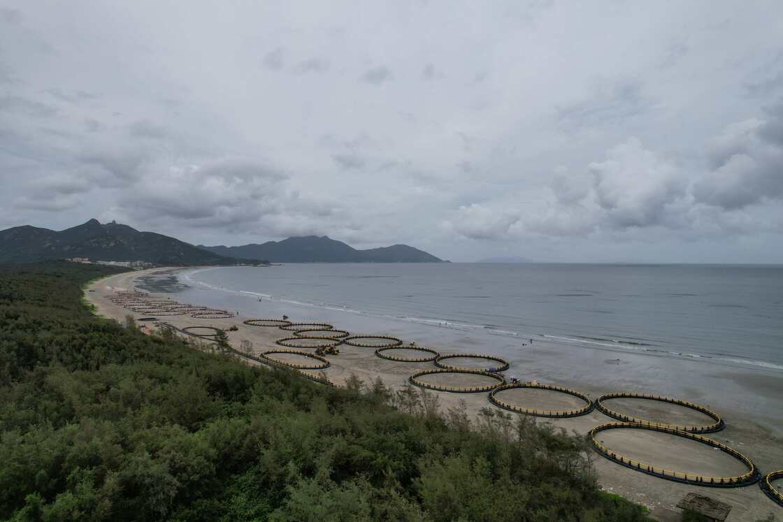 Customizable Size HDPE100 Fish Cage with Anti-Wave Resistance for Aquaculture Farms Worldwide