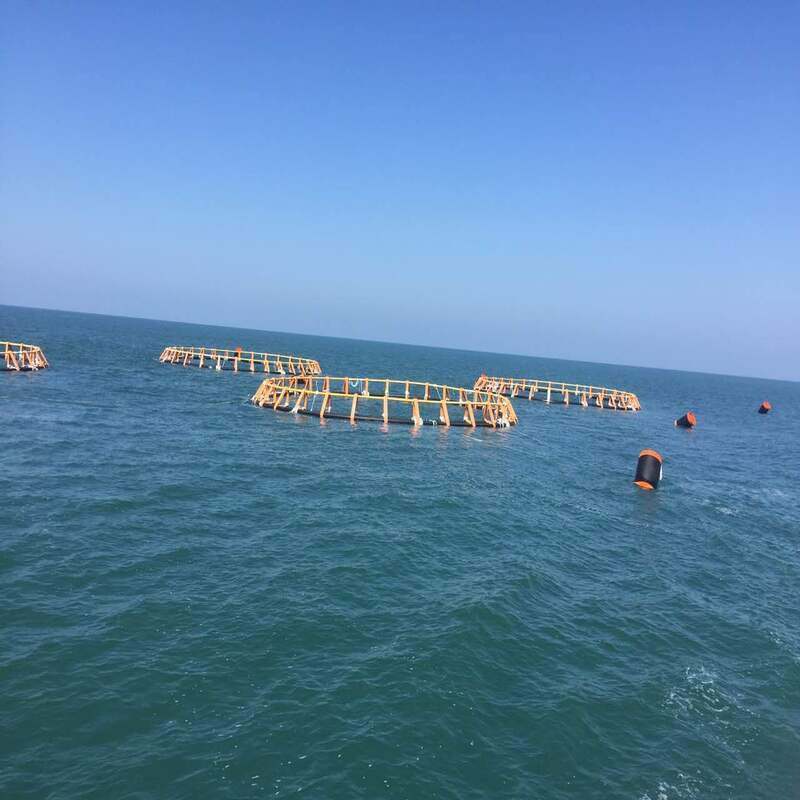 No More "Fish on the Run" · Anti-Escape Circular Cage