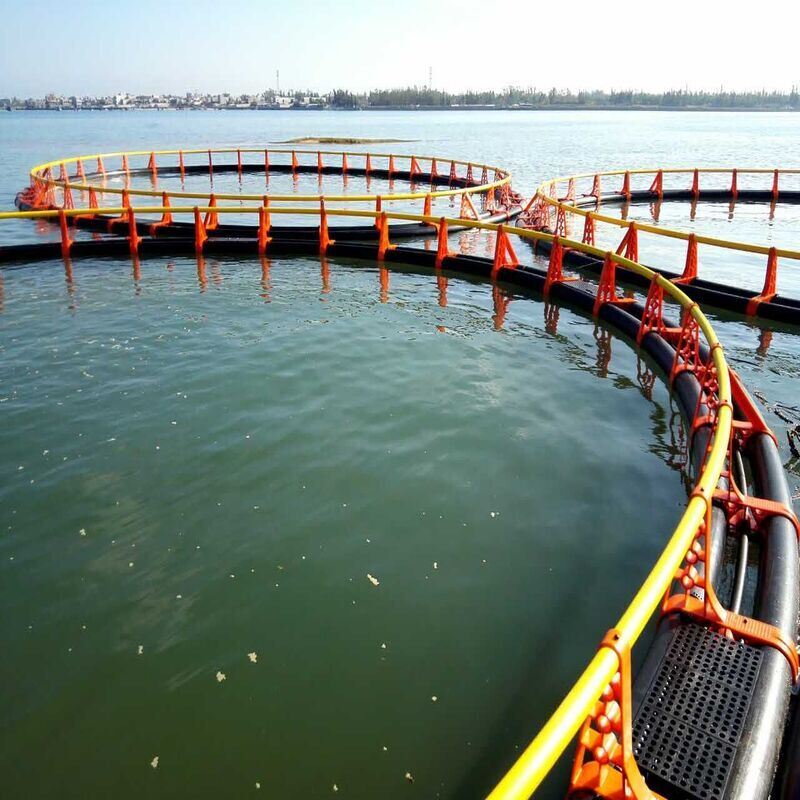 Round HDPE Fish Cage, UV & Wave Resistant for Freshwater & Seawater