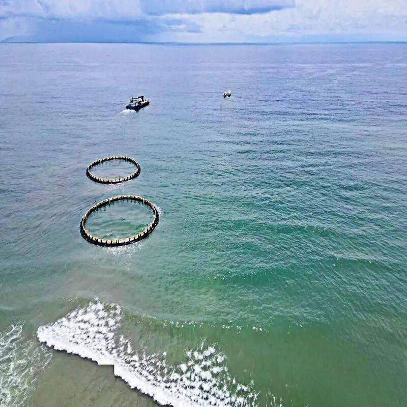 Round Flowing Water Fish Cage | Full Water Circulation for High-density Farming