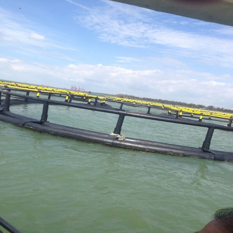 Round Flowing Water Fish Cage | Full Water Circulation for High-density Farming