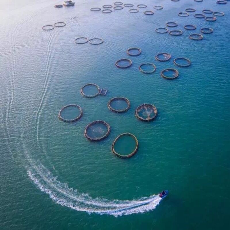 Lightweight Round Fish Cage | Quick Assembly for Small Water Areas