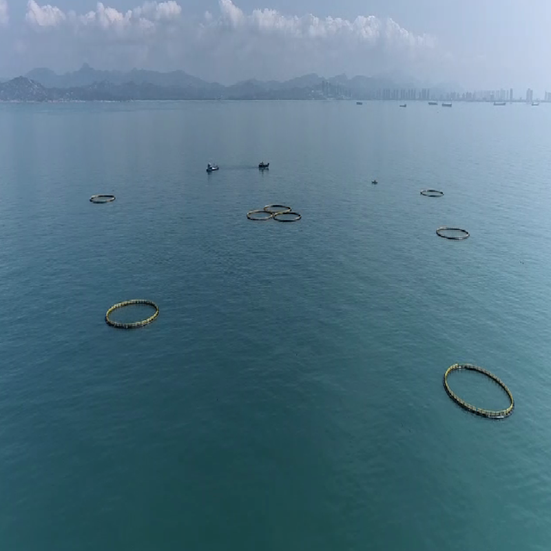 Round Fish Cage with Anti-slip Walkway | Surrounding Platform for Easy Operation