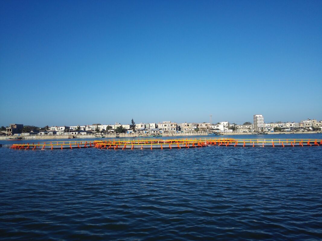 Split-type Round Fish Cage | Replaceable Netting for Multi-purpose Use