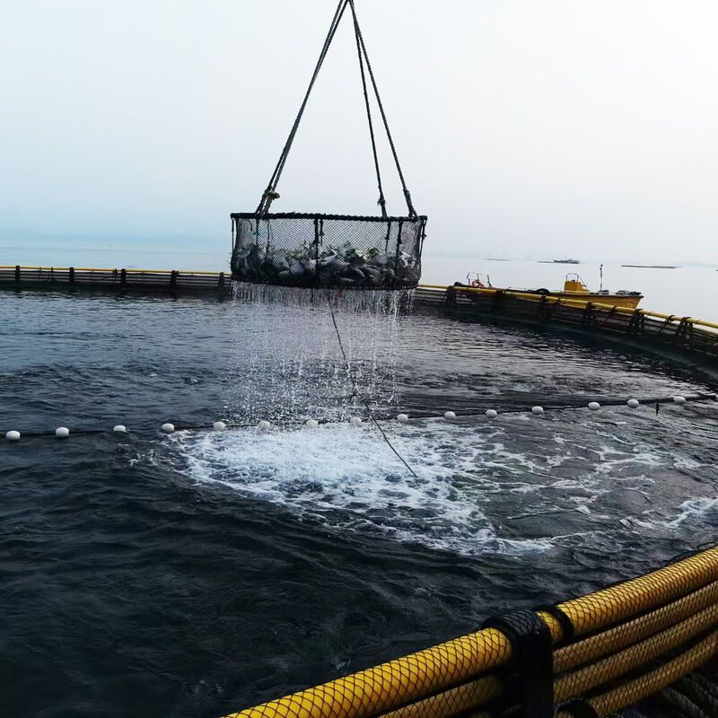 Full Set Circular Aquaculture Cage with Mooring & Net Accessories