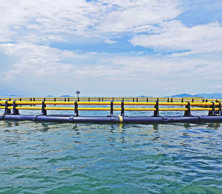 Legendary Master Cages Built to Resist Cold Frost Strong Winds and Large Temperature Difference for Romania Aquaculture