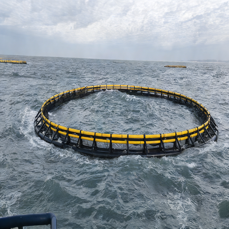 Large Round HDPE Anti-Typhoon Deep Sea Fish Cage Floating Aquaculture Cage for Tilapia & Sea Bass