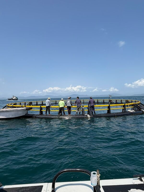 Tired Of Fragile Short-Life Fish Cages? 2026 New Tech 15Y Anti-Wind HDPE Cage, Send Inquiry To Get Cost-Effective Quote