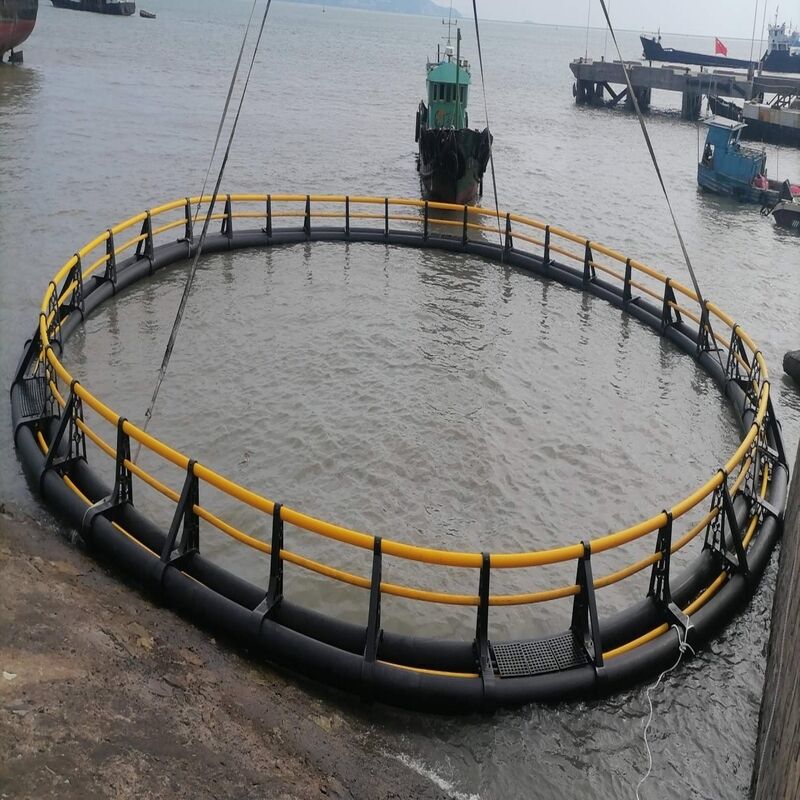 HDPE Circular Floating Fish Cage, Reinforced Complete Cage for Adult Fish Culture in Deep Water
