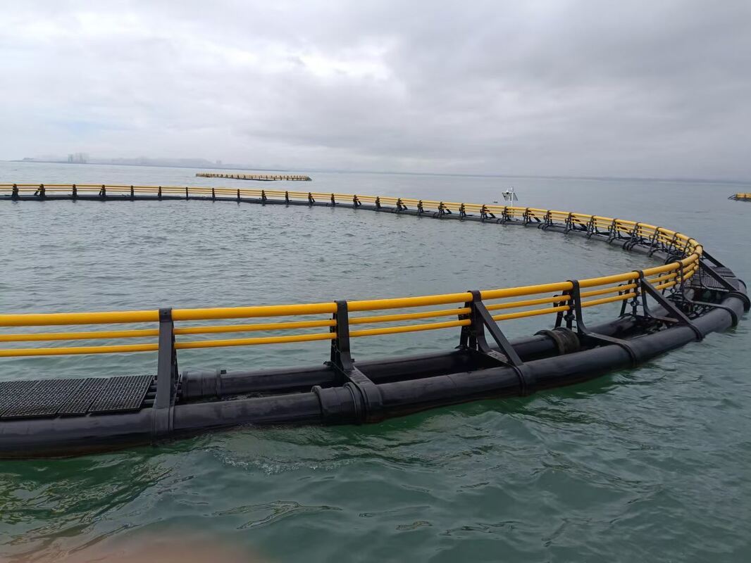Tired of losing all fish when storms sweep away cheap cages? Our HDPE frames stand strong against rough coastal and lake waves.