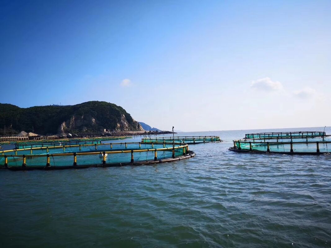 Heavy-Duty Floating Fish Cage, No More Cage Drifting & Fish Loss