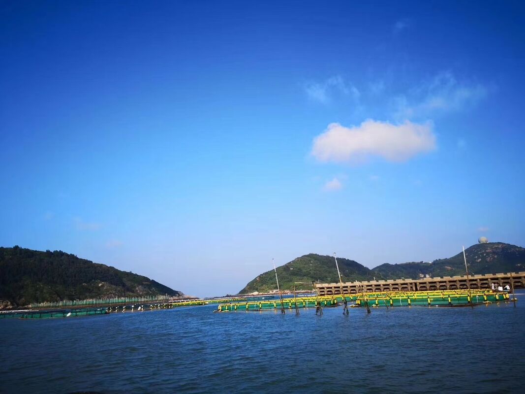 Heavy-Duty Floating Fish Cage, No More Cage Drifting & Fish Loss