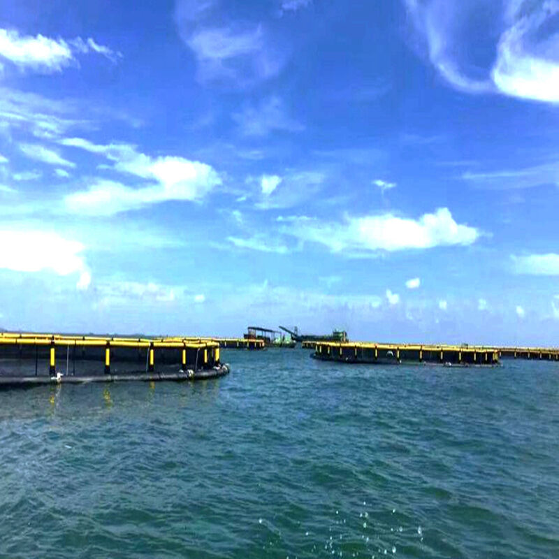 Long-service-life HDPE Floating Circular Fish Cage