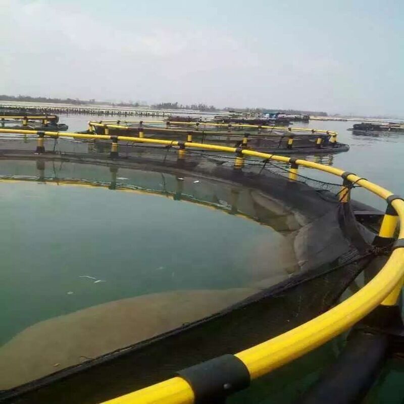 Long-service-life HDPE Floating Circular Fish Cage