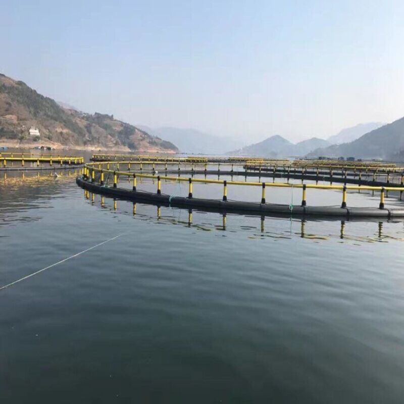 Custom Offshore Circular Cage Specially for Gilthead Seabream