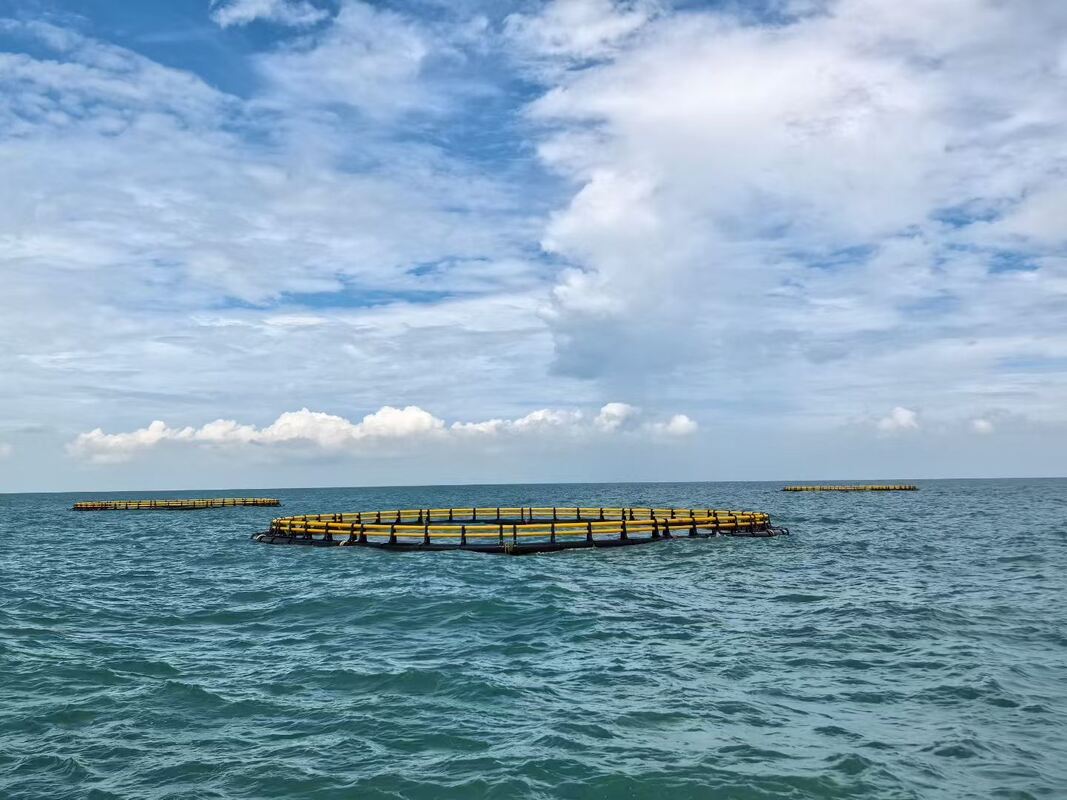Complete Specs Of 12m Diameter HDPE Round Fish Cage For Commercial Fish Farm
