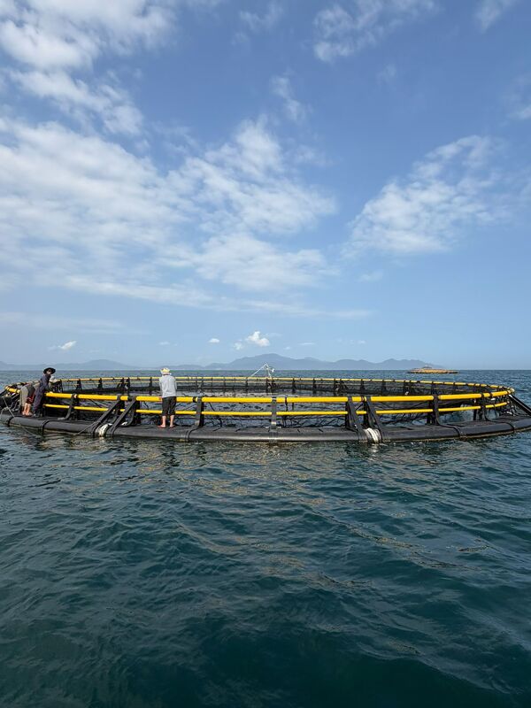 How to choose a cost-effective HDPE fish cage with stable anchoring system?