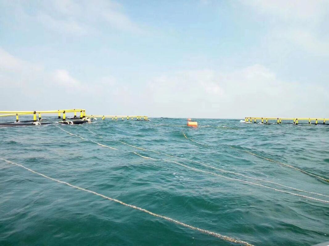 Want one-stop HDPE Fish Cage to solve all your aquaculture troubles?