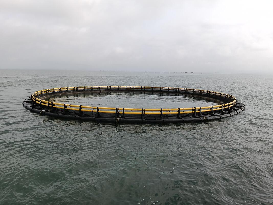 Entry-Level HDPE Fish Cage (80m Perimeter): Low Cost, High Profit