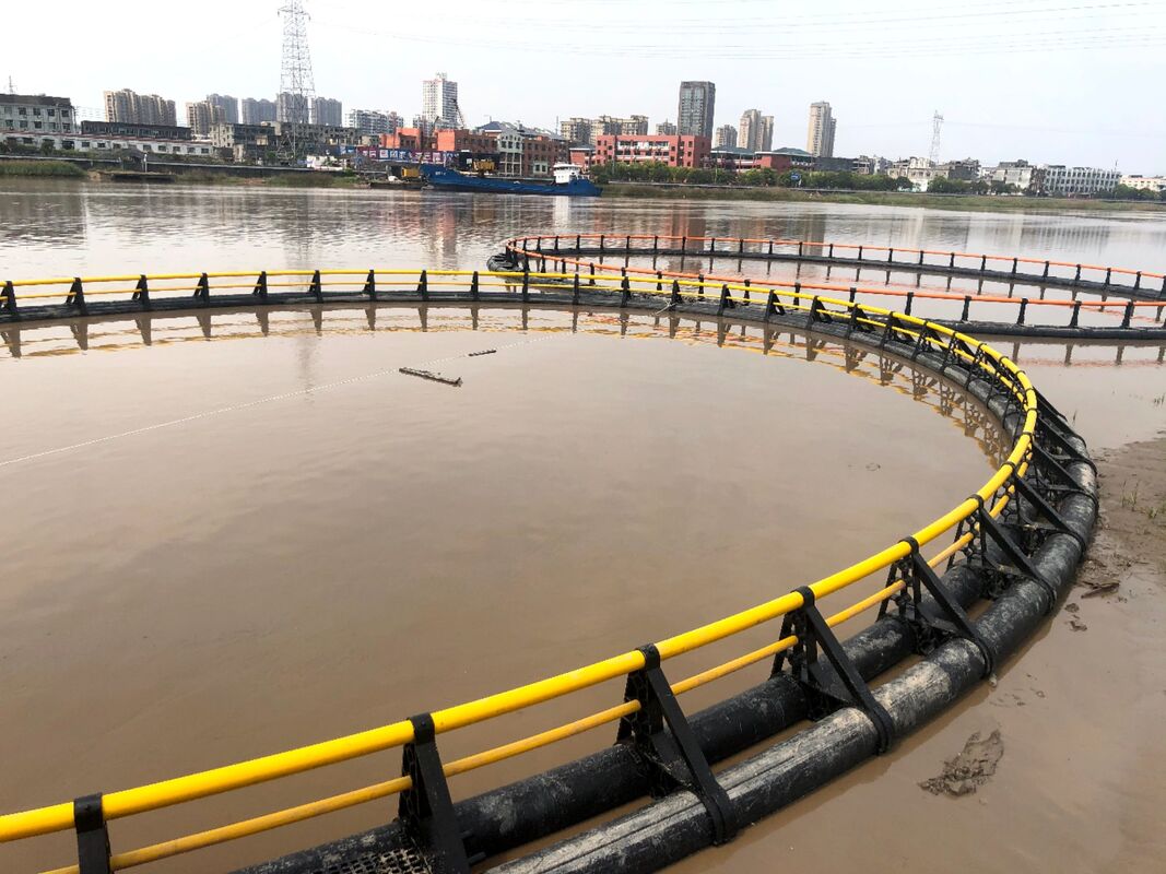 Entry-Level HDPE Fish Cage (80m Perimeter): Low Cost, High Profit
