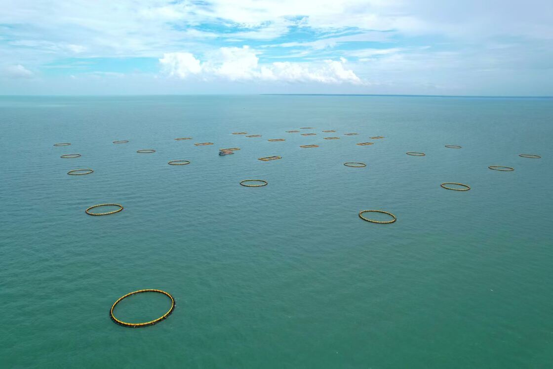 Start your fish farm easily with 80m perimeter entry-level HDPE Fish Cage