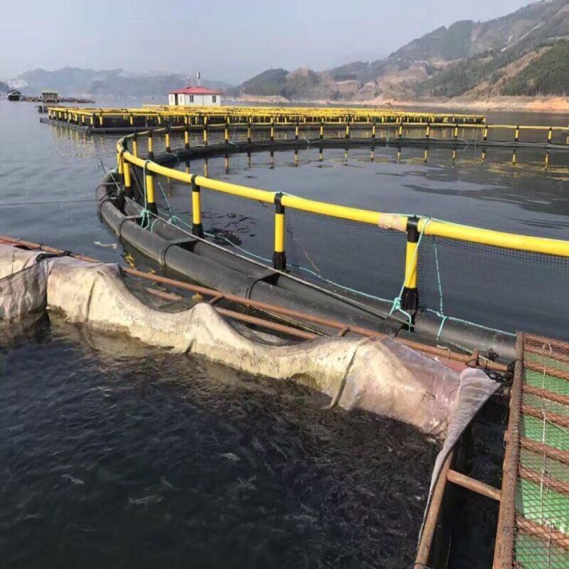 Legendary Offshore Farming Equipment | Magical Circular Floating Cage with Miracle High-yield Structure