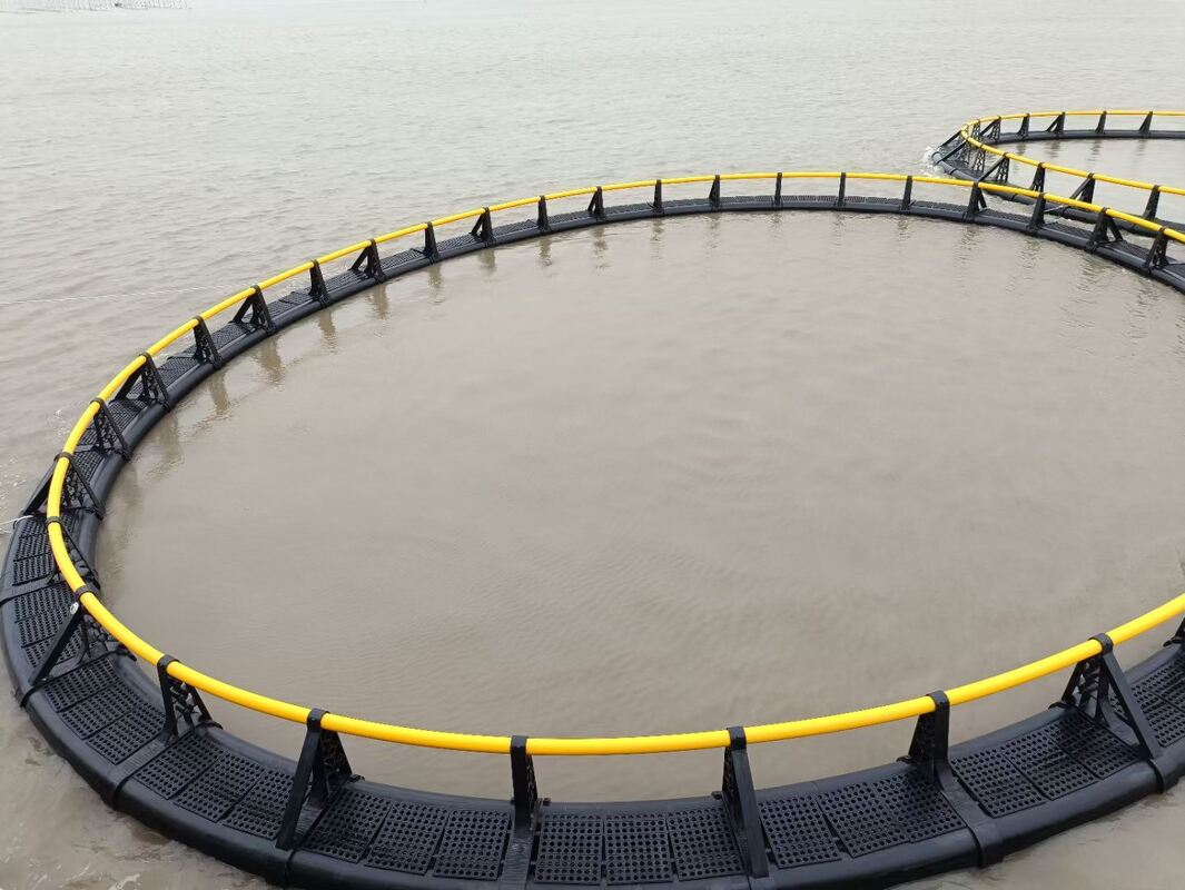 Are you searching for HDPE fish cages that support higher stocking density?