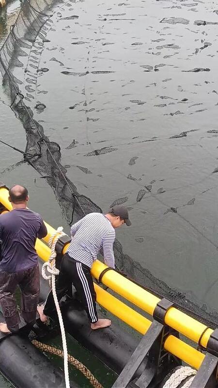 10m by 10m HDPE Fish Cage — Ideal for New & Upgraded African Fish Farms