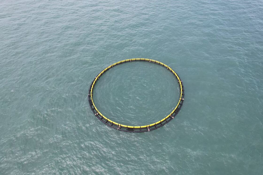 Anti-escape HDPE cage for grouper, stocking density 14–18kg/m³, fine mesh reduces fry loss for Southeast coastal farms.