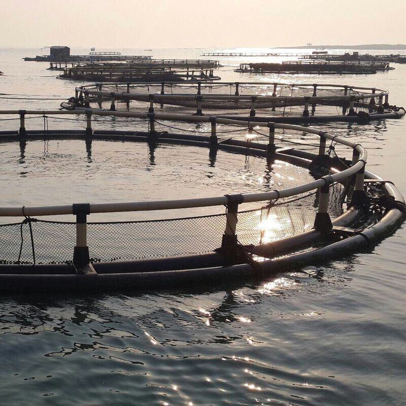 30m Perimeter Small Circular Aquaculture Cage For Seawater Nursery