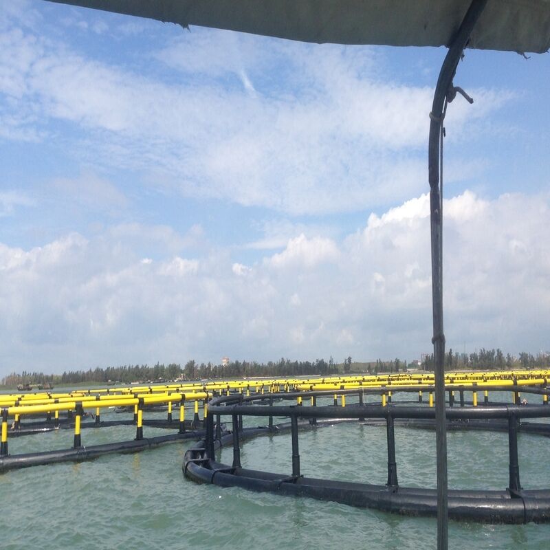 Wind Resistant Circular Floating Cage With Full Set Mooring System