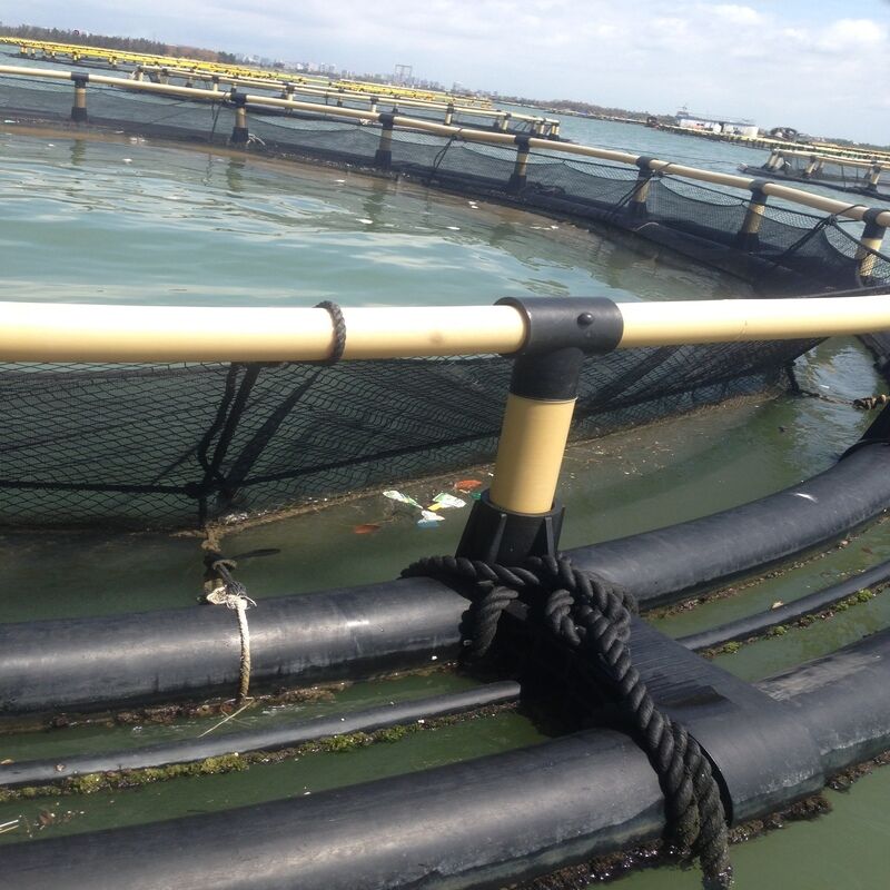 Wind Resistant Circular Floating Cage With Full Set Mooring System