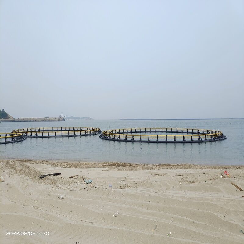Custom HDPE Circular Fish Cage For Large Scale Marine Farm Project